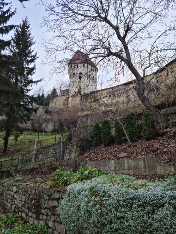 Stradela Cetatii Apartment Sighisoara Ngoại thất bức ảnh
