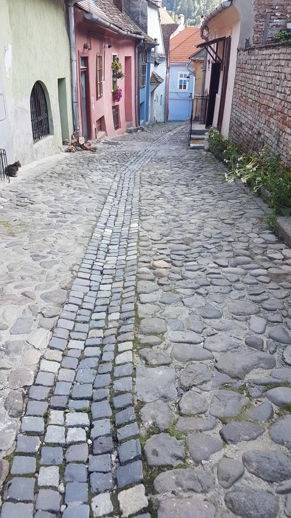 Stradela Cetatii Apartment Sighisoara Ngoại thất bức ảnh